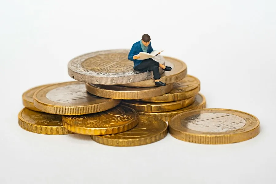 Photo flexible budget