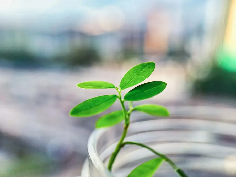 Photo sustainable business growth